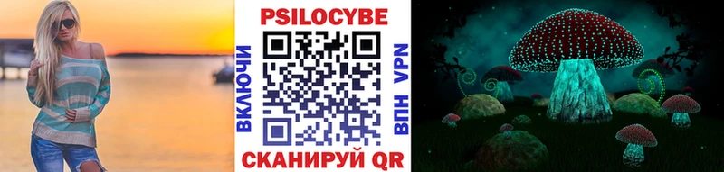 Псилоцибиновые грибы ЛСД  это клад  Цивильск 